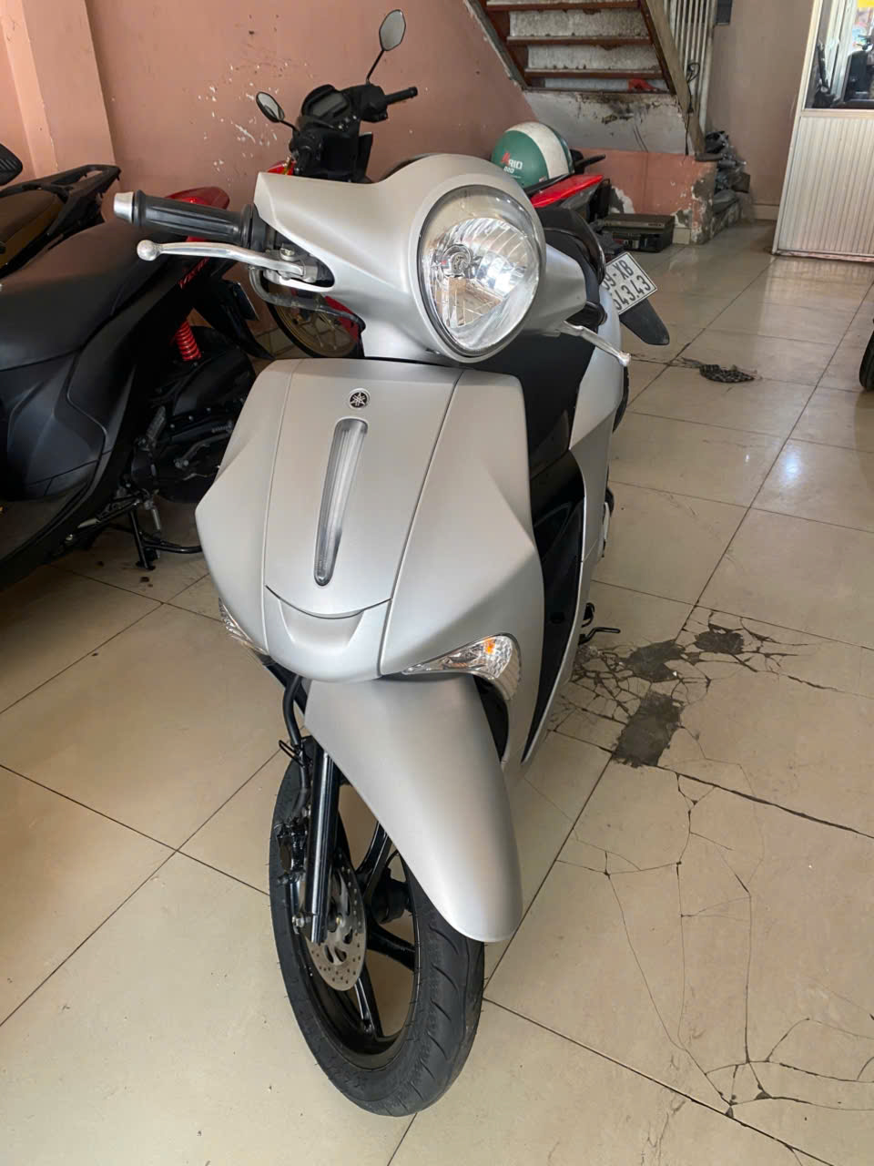 Janus Smasky 2018